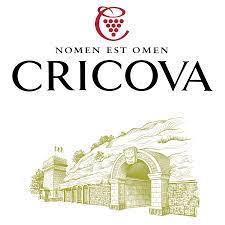 Centrul de Business și Turism „Cricova-Vin”